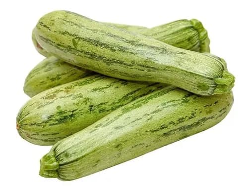 ZUCCHINI CAJON