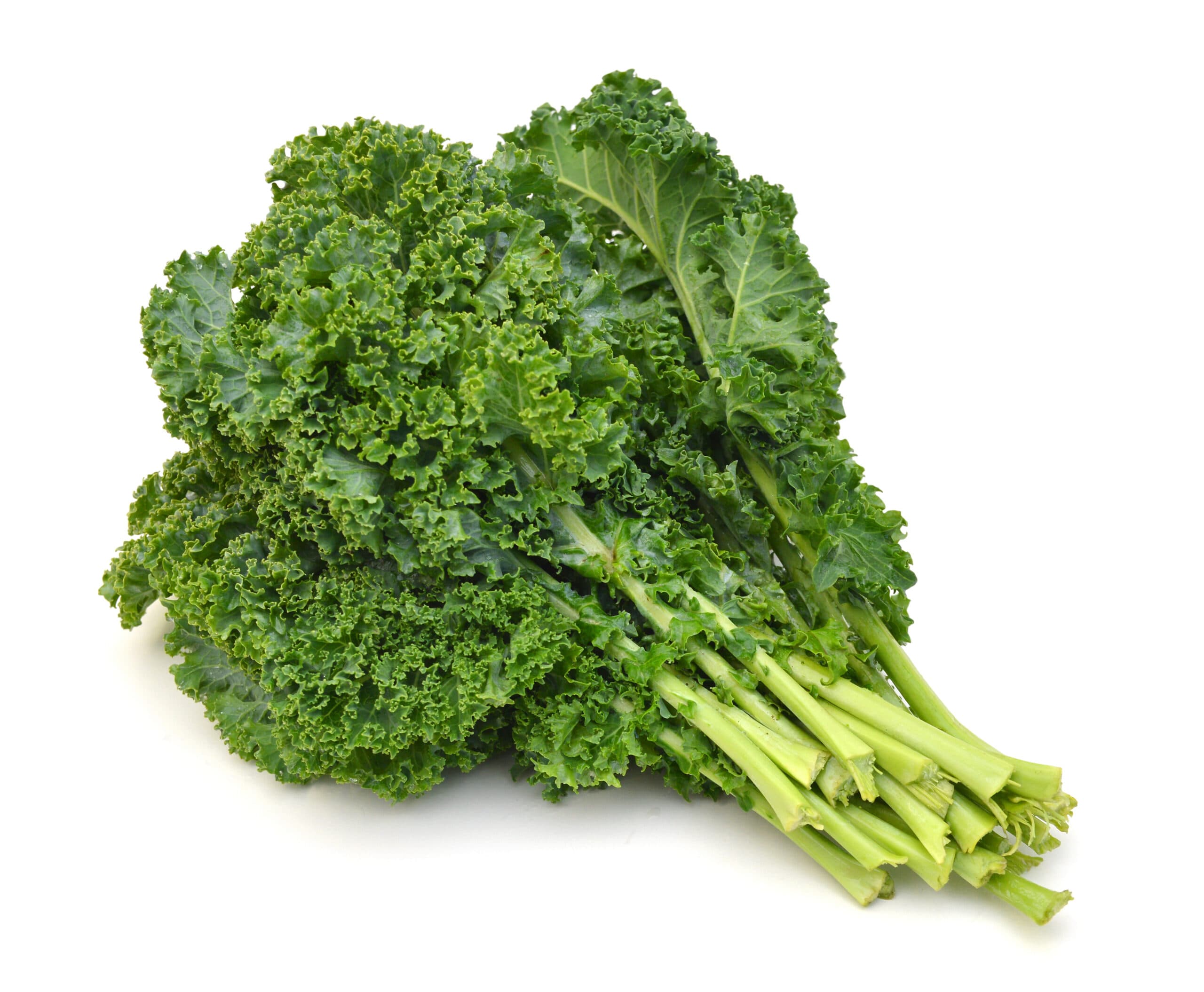 KALE CAJÓN