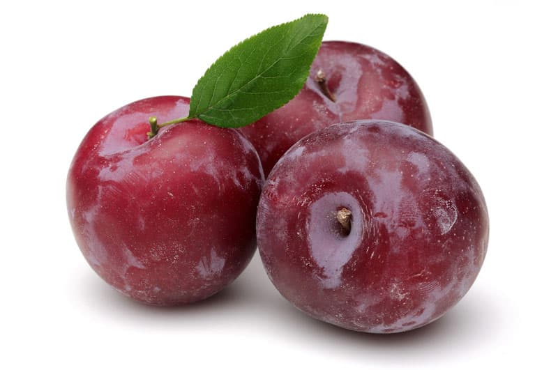 CIRUELA  NEGRA GRANDE