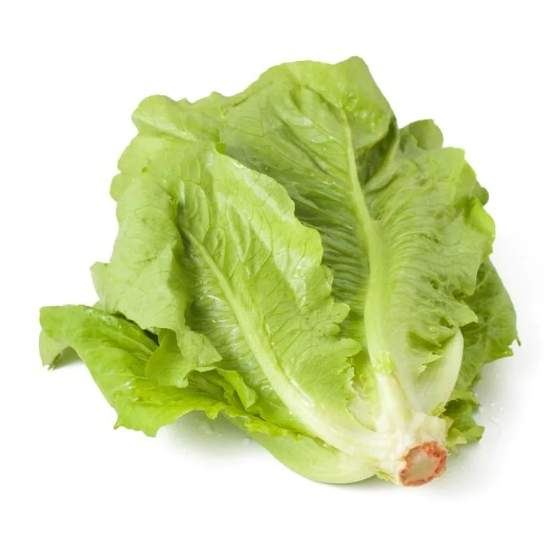 LECHUGA MANTECA CAJÓN