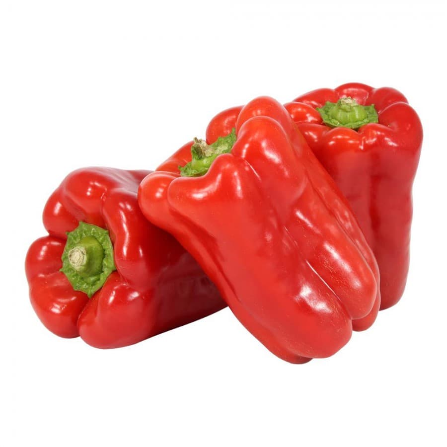 MORRON ROJO