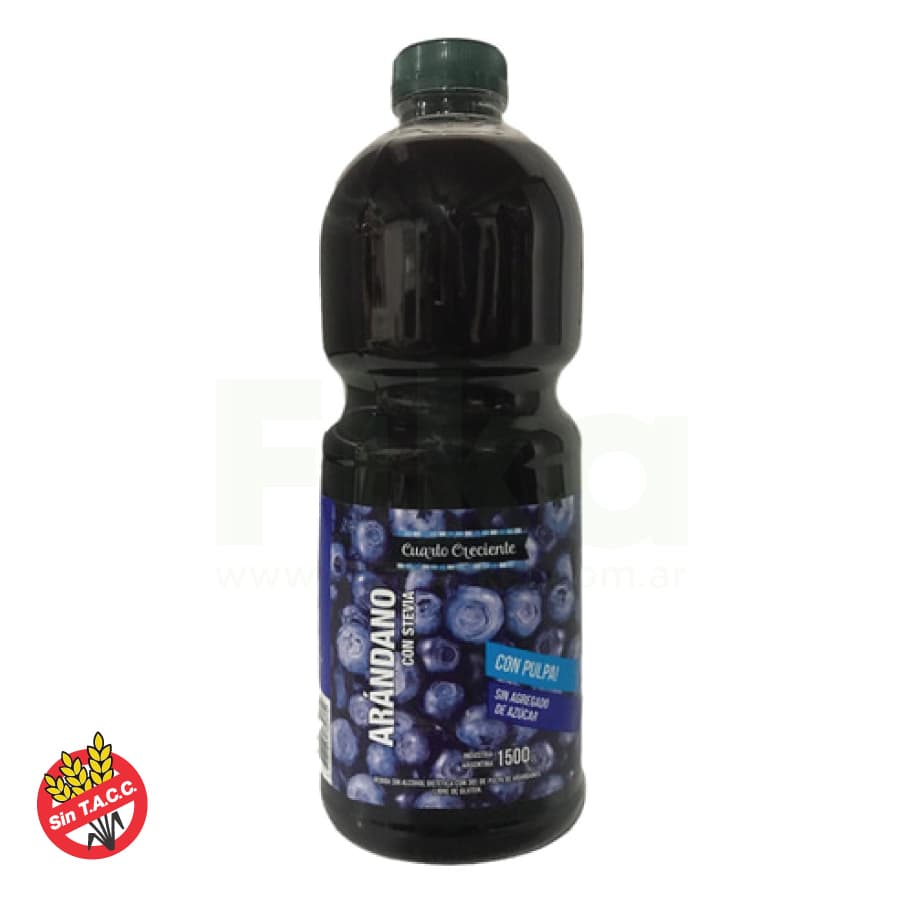 JUGO DE ARÁNDANOS