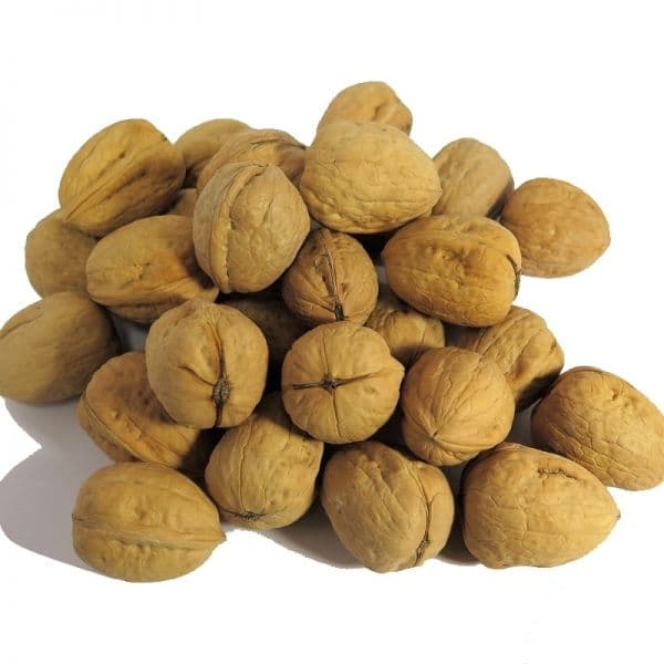 NUEZ CON CASCARA