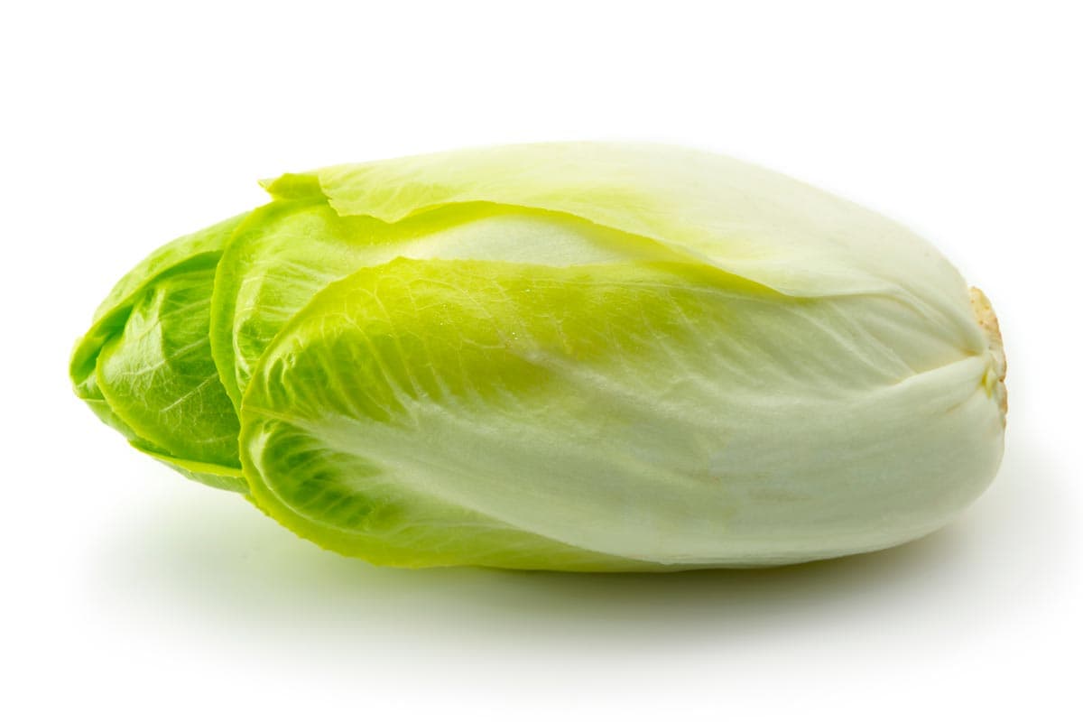 ENDIVIA 500G PAQUETE