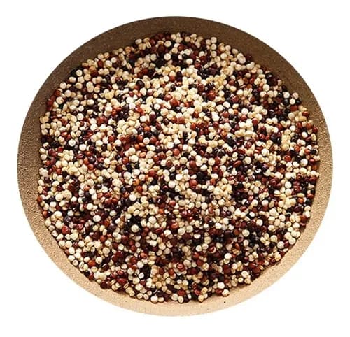 QUINOA TRICOLOR