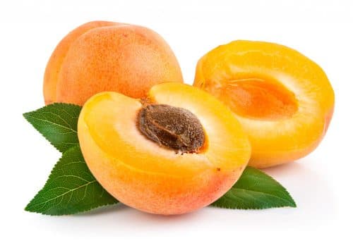 DAMASCO CERVI