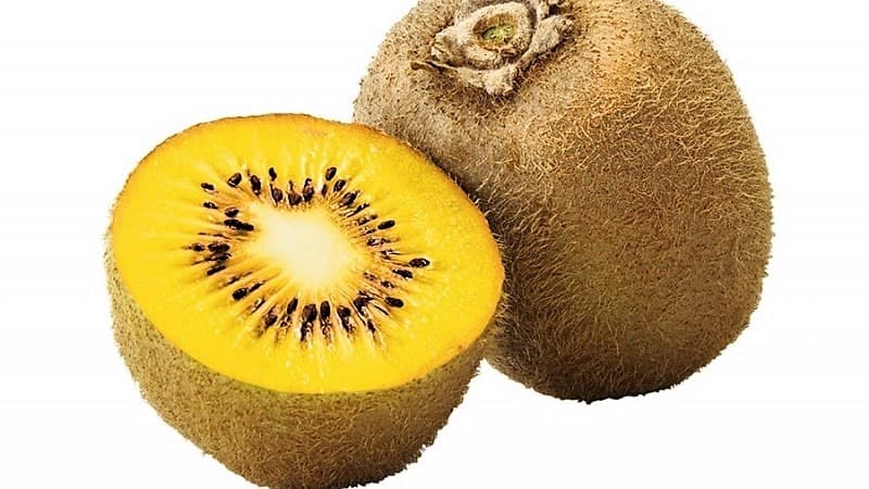 KIWI AMARILLO